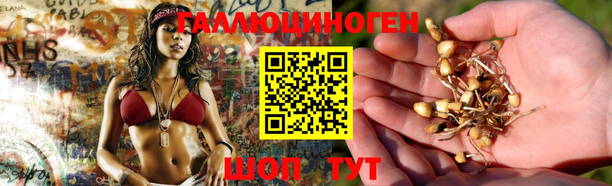 Псилоцибиновые грибы GOLDEN TEACHER  Вход с VPN  Галлюциногенные грибы MAGIC MUSHROOMS  Калач-на-Дону 
