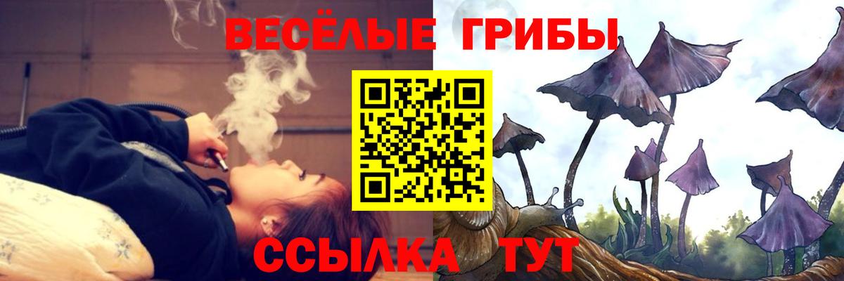 Псилоцибиновые грибы Psilocybine cubensis Калач-на-Дону